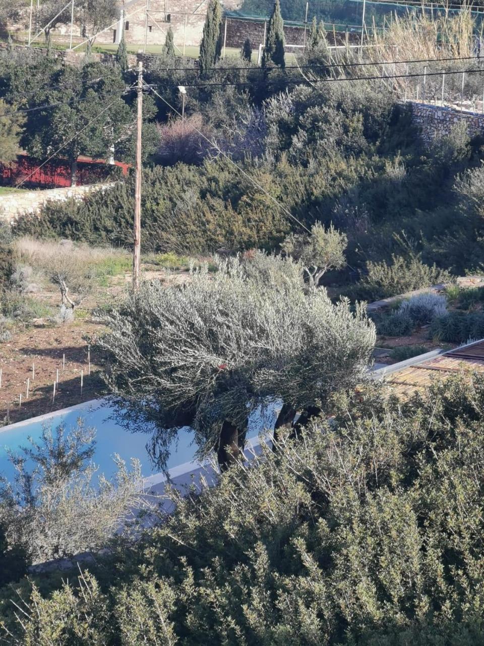 Olithos Villas Krotiri ภายนอก รูปภาพ